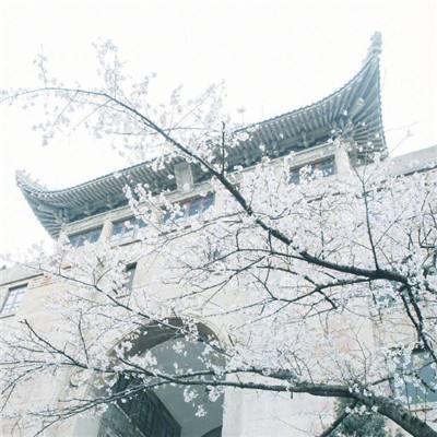 沙巴克之城手游(暂未上线)v1.0 官方安卓版